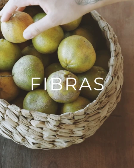 fibras